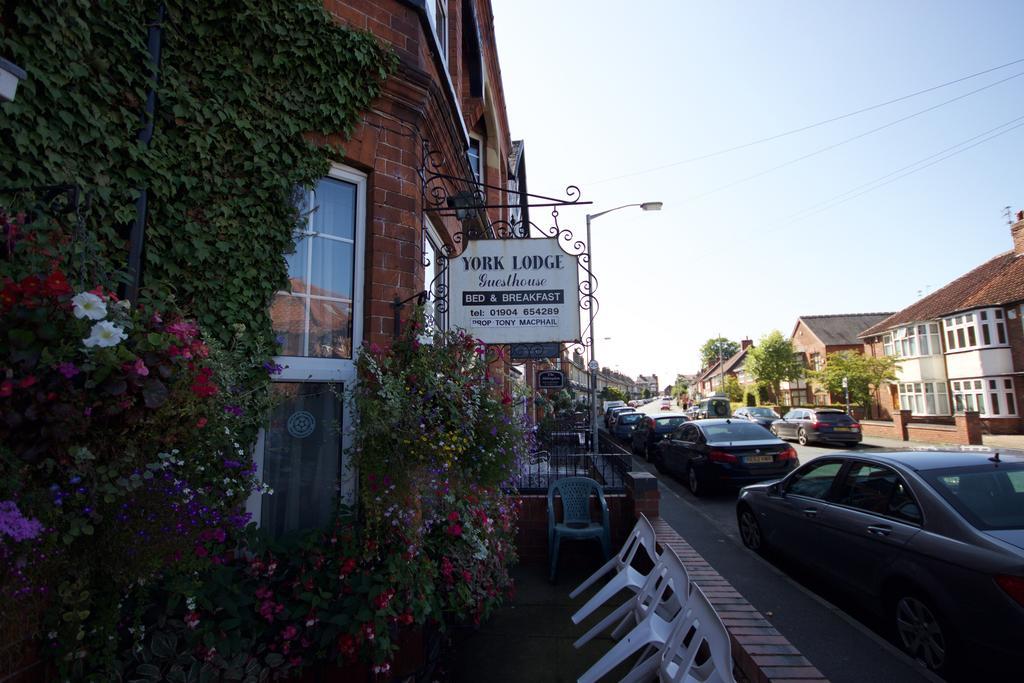 York Lodge Guesthouse Dış mekan fotoğraf