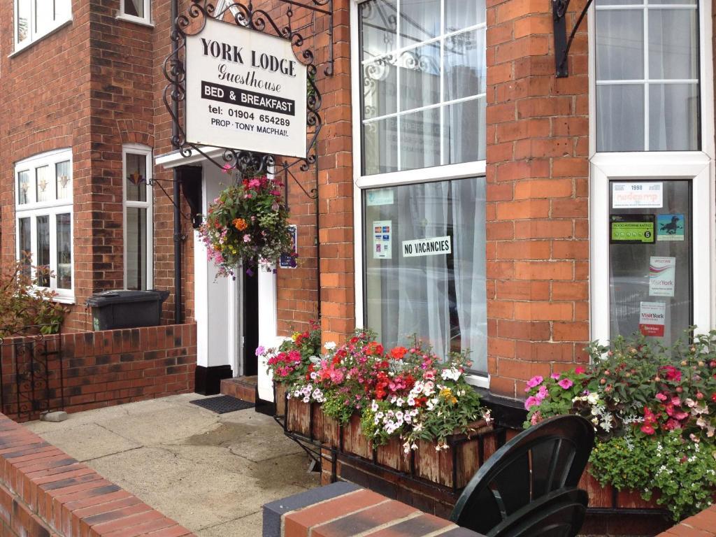 York Lodge Guesthouse Dış mekan fotoğraf